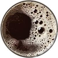 Rich & dark