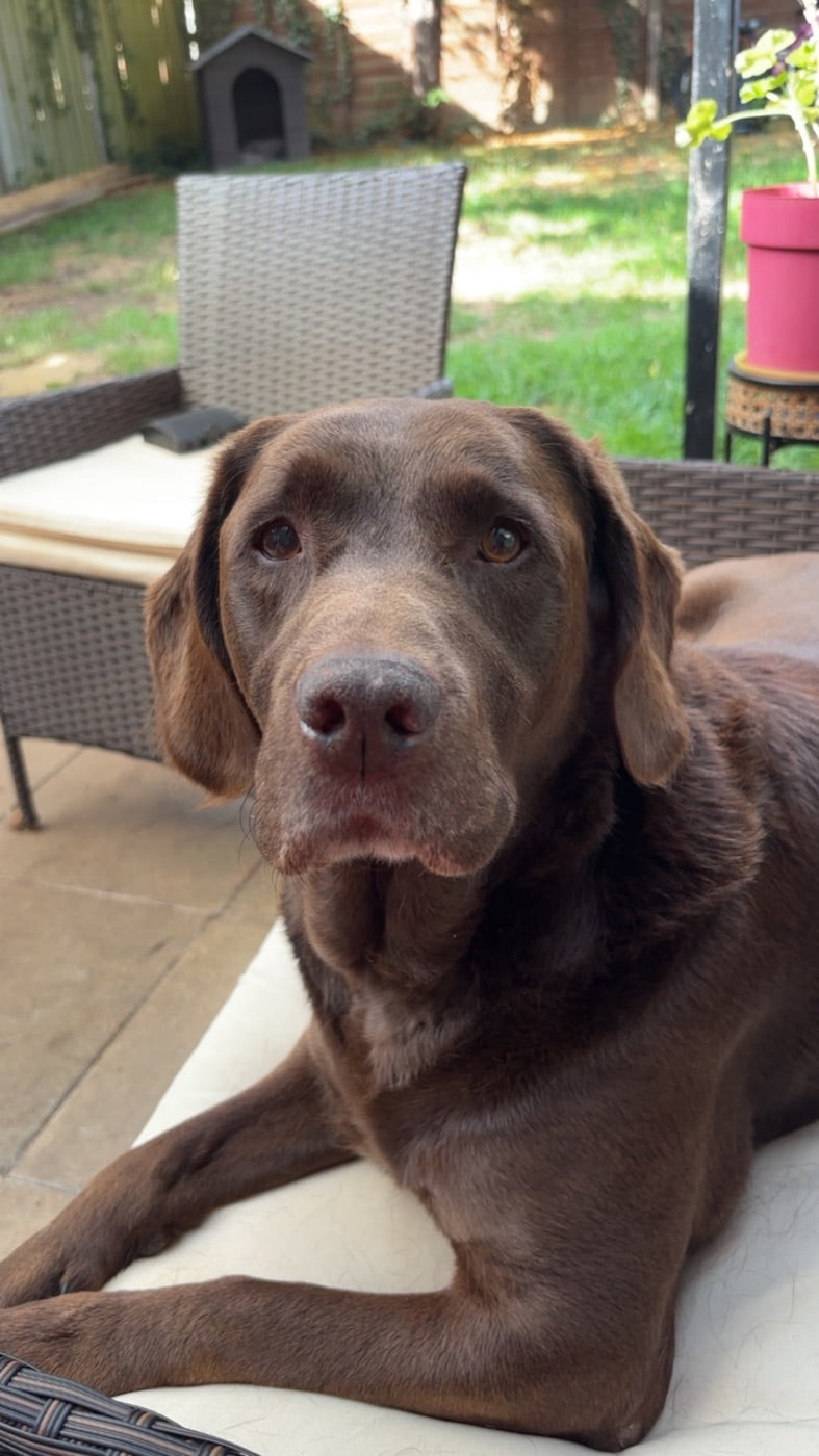 Max